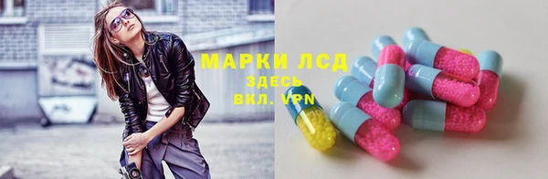 СК Алзамай