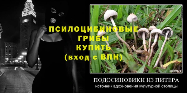 прущие крисы Алексин