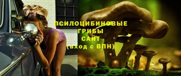 СК Алзамай