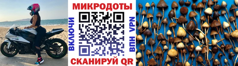 Галлюциногенные грибы Psilocybine cubensis  что такое наркотик  mega онион  Белгород 